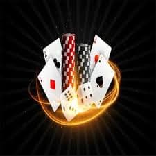 tk999 bet